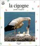 La Cigogne, grande voyageuse