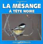 La Mésange à tête noire