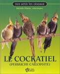 Le Cockatiel (Perruche callopsite)