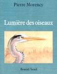 Lumière des oiseaux