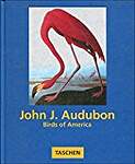 John J.Audubon's Birds: Birds of America 