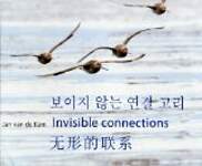 Invisible Connections: Why Migrating Shorebirds Need the Yellow Sea