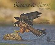 Oiseaux du Maroc