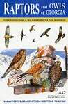 Raptors and Owls of Georgia [English / Georgian]