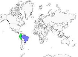 Distribution 
