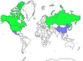 Distribution 