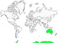 Distribution 