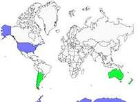 Distribution 