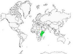 Distribution
