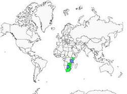 Distribution