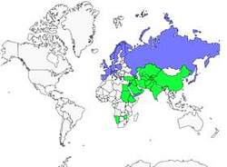 Distribution 