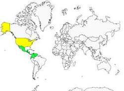 Distribution 