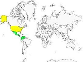 Distribution 