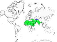Distribution 