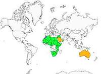 Distribution 