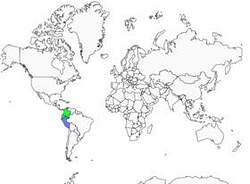 Distribution