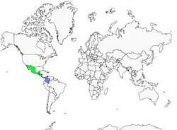 Distribution