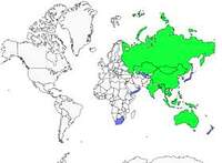 Distribution 