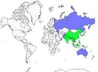 Distribution 