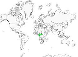 Distribution