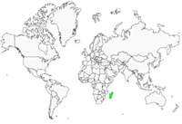 Distribution 