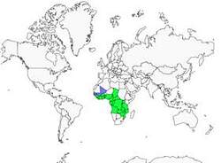 Distribution 