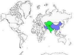 Distribution