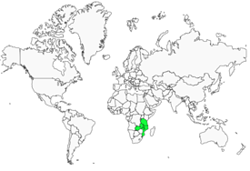 Distribution