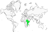 Distribution 