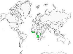 Distribution