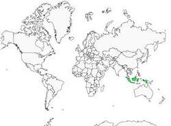 Distribution