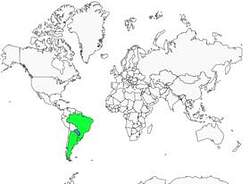 Distribution