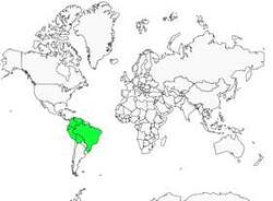 Distribution
