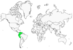 Distribution