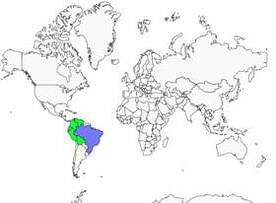 Distribution 