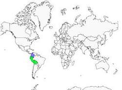 Distribution
