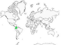 Distribution