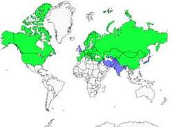 Distribution 