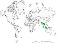 Distribution