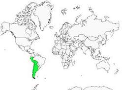 Distribution