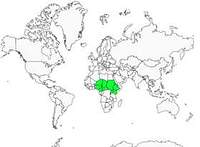 Distribution 