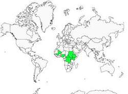 Distribution