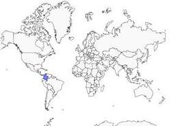 Distribution