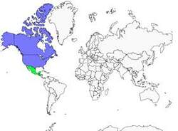 Distribution