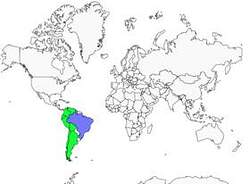 Distribution