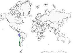 Distribution