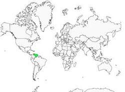 Distribution