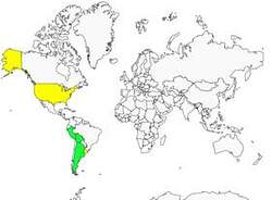 Distribution 