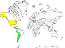 Distribution 