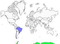 Distribution 
